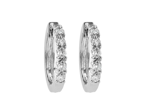 D001-48563: EARRINGS .25 TW