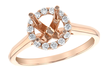 D185-09517: LDS SEMI DIA RG .22 TW