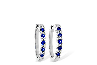 D190-58617: EARR .24 SAPP .30 TGW